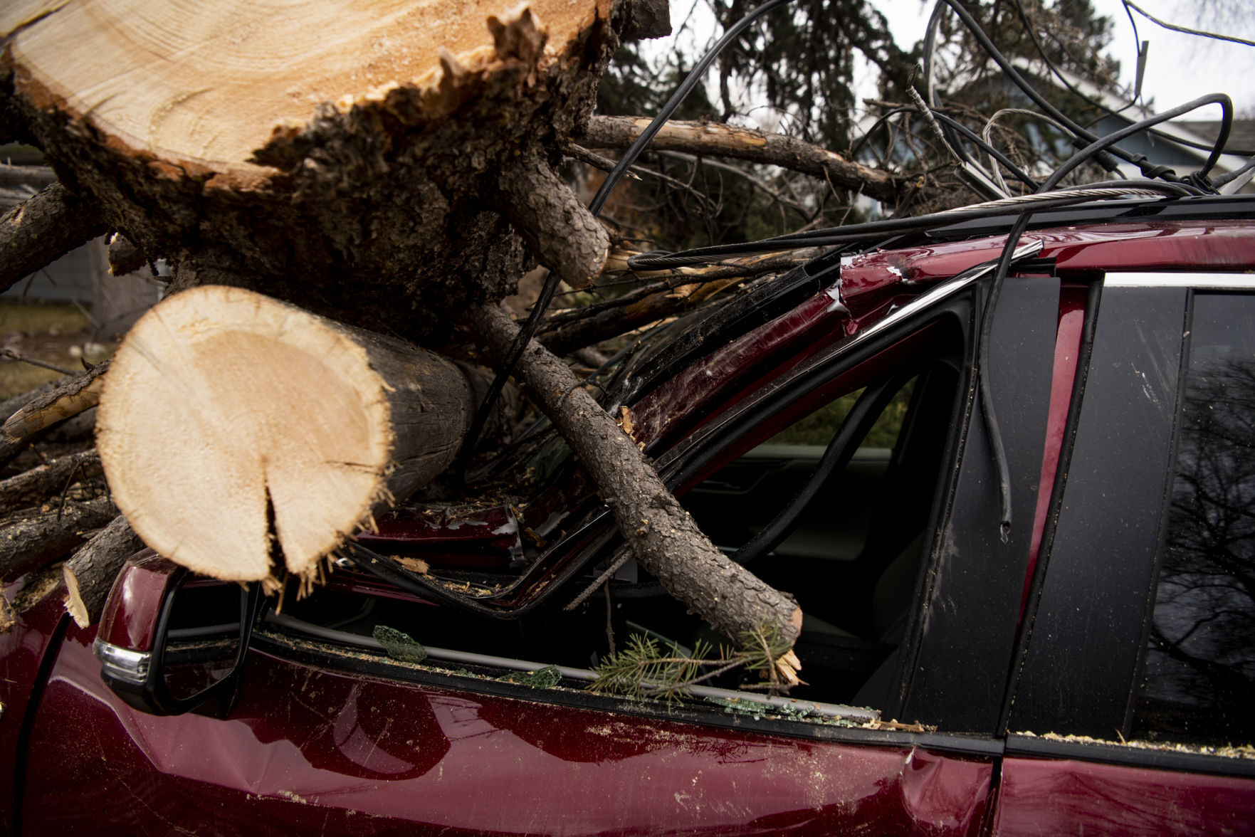 Wind storm in Missoula 12